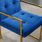 DCK70 Luxurious Dining Chair with Stainless Steel