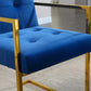 DCK70 Luxurious Dining Chair with Stainless Steel