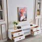 TV001 White & Gold Functional Storage TV Stand